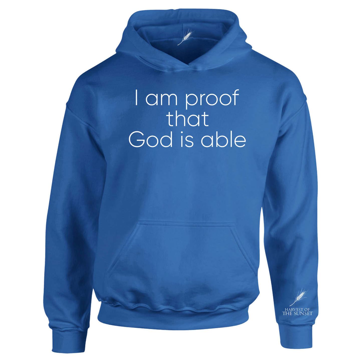 GOD IS ABLE UNISEX HOODIE
