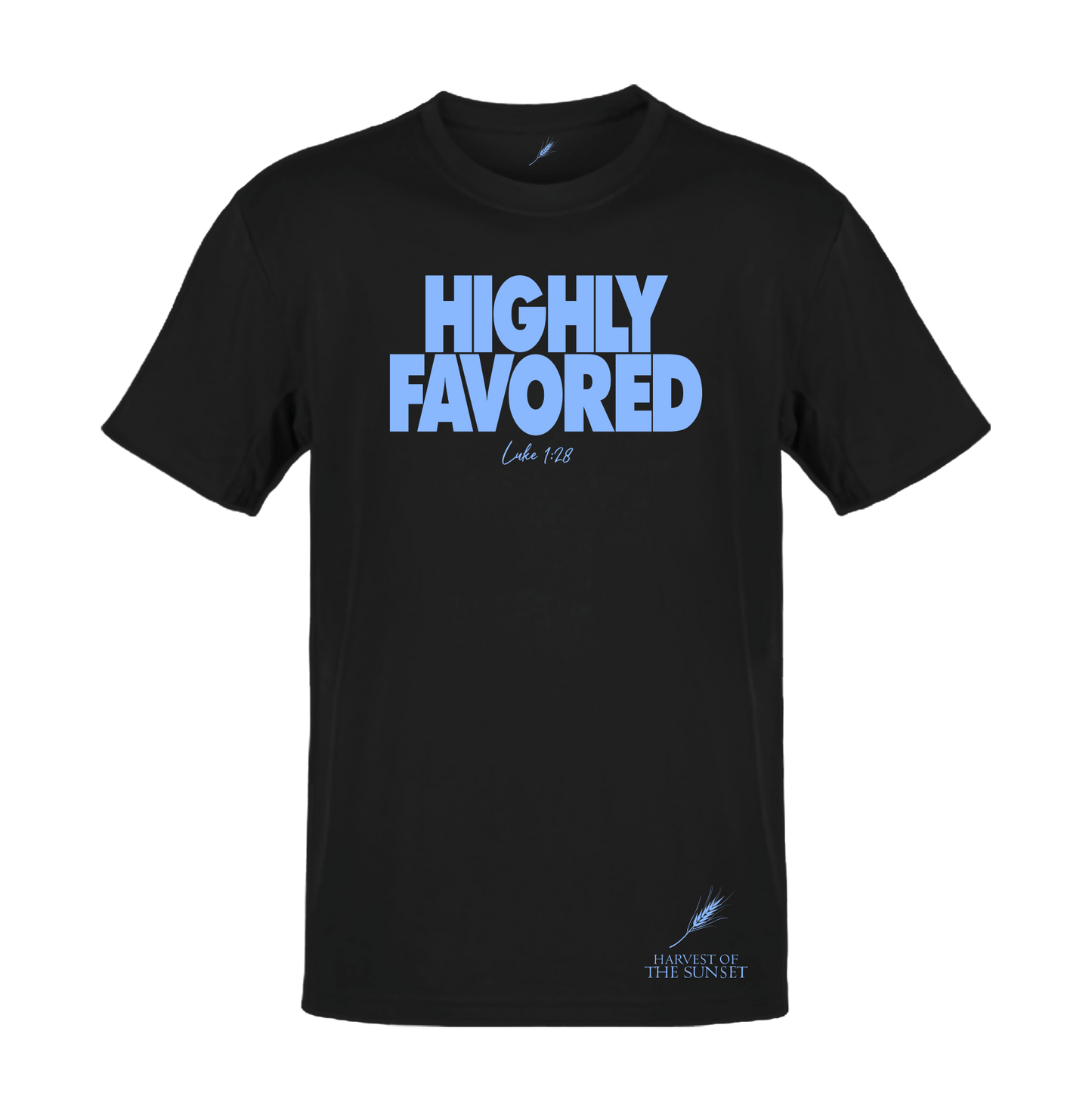 HIGHLY FAVORED LUKE 1:28 UNISEX TEE
