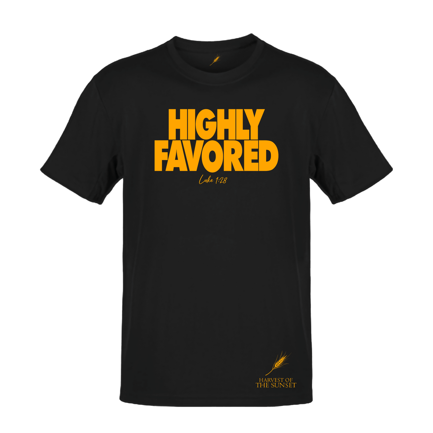 HIGHLY FAVORED LUKE 1:28 UNISEX TEE