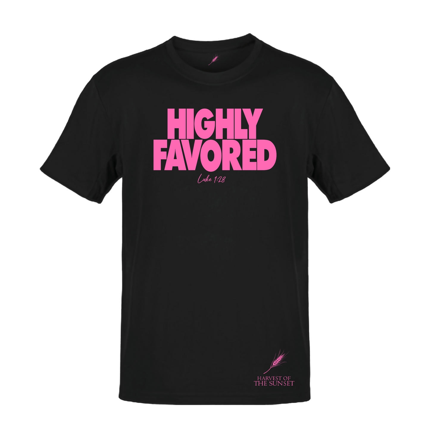 HIGHLY FAVORED LUKE 1:28 UNISEX TEE