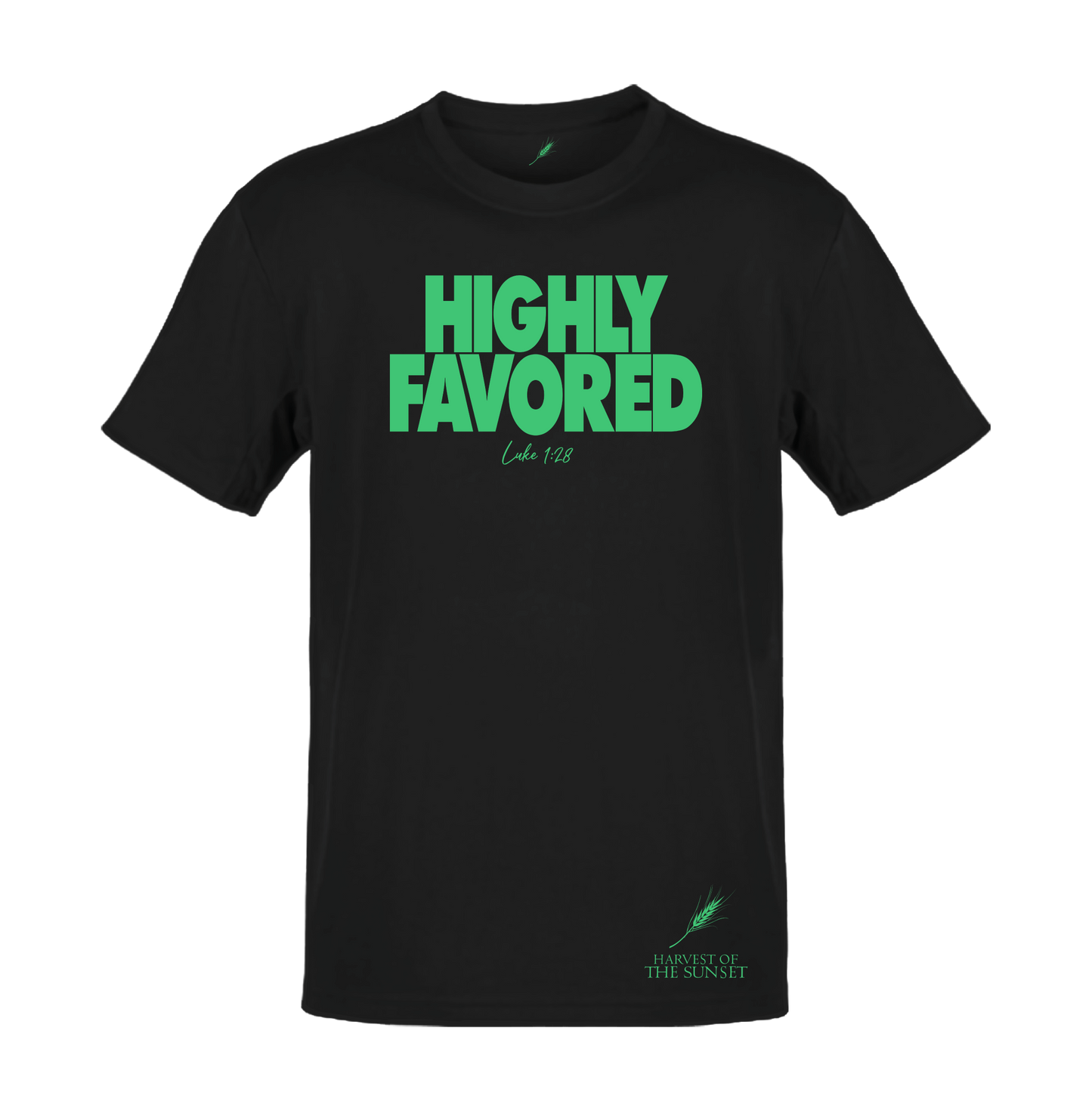 HIGHLY FAVORED LUKE 1:28 UNISEX TEE