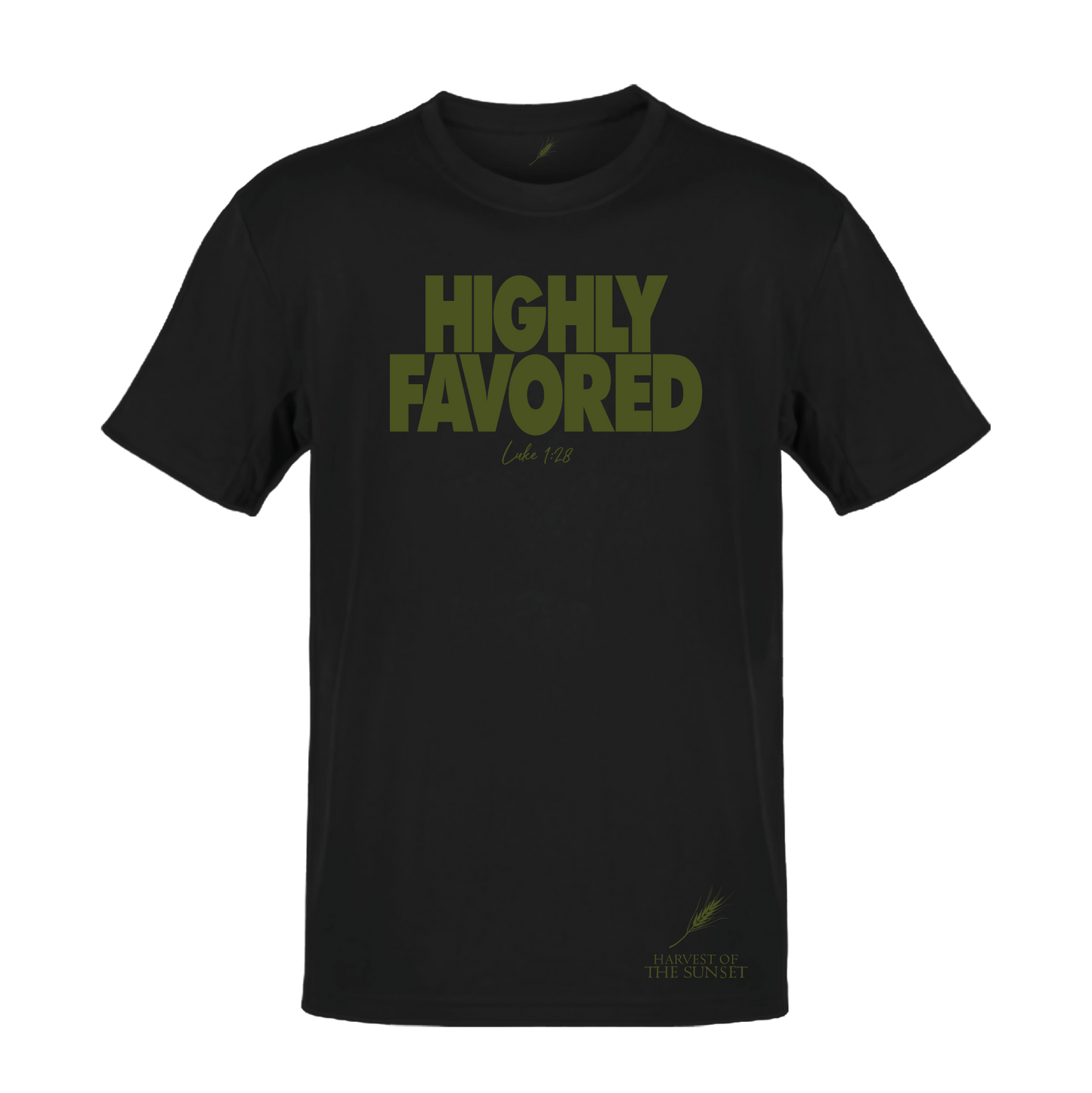 HIGHLY FAVORED LUKE 1:28 UNISEX TEE
