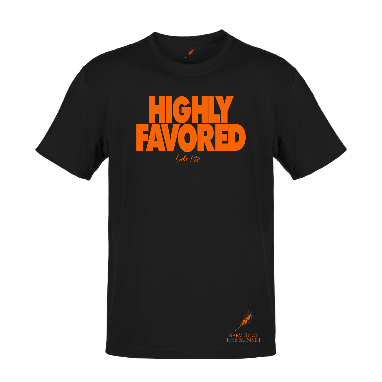 HIGHLY FAVORED LUKE 1:28 UNISEX TEE