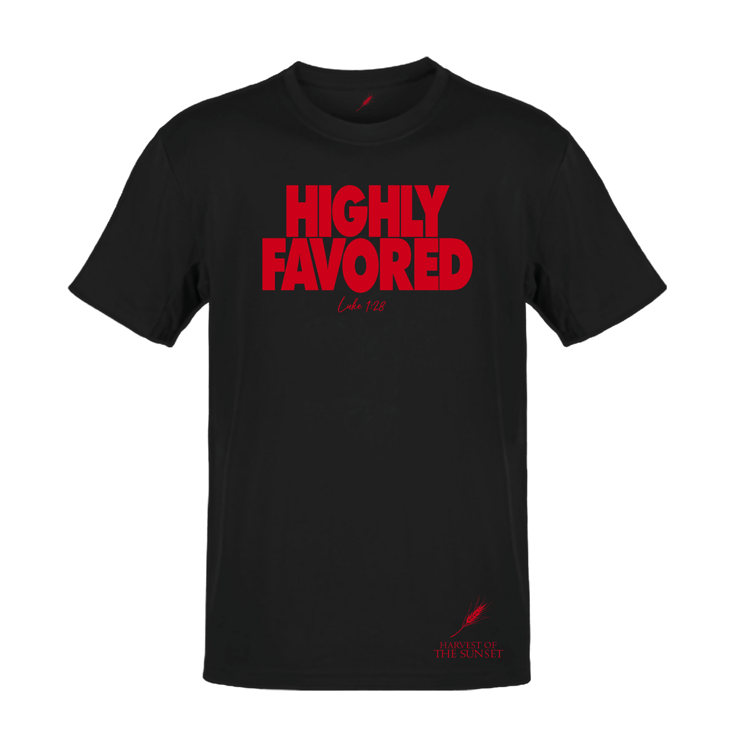 HIGHLY FAVORED LUKE 1:28 UNISEX TEE