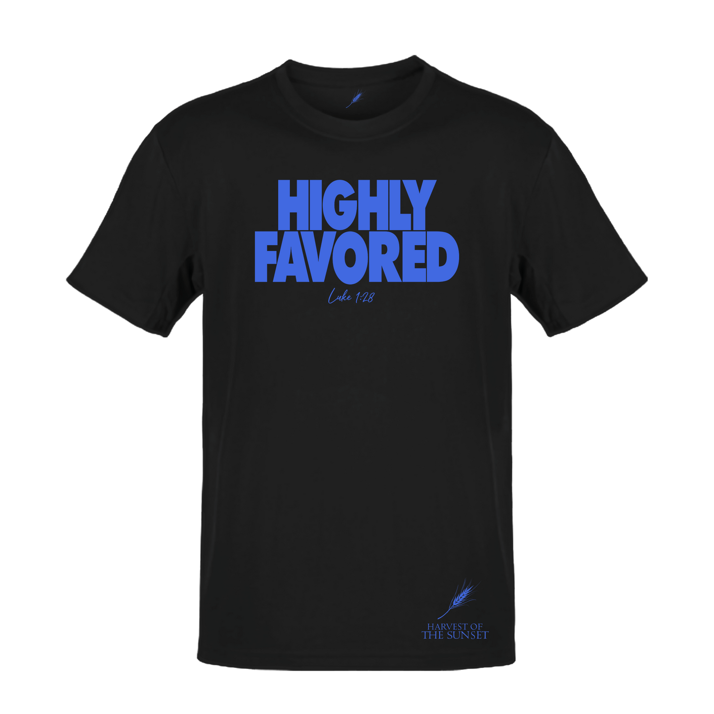 HIGHLY FAVORED LUKE 1:28 UNISEX TEE