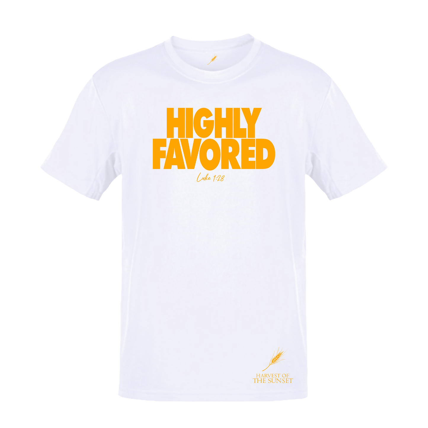 HIGHLY FAVORED UNISEX WHITE TEE