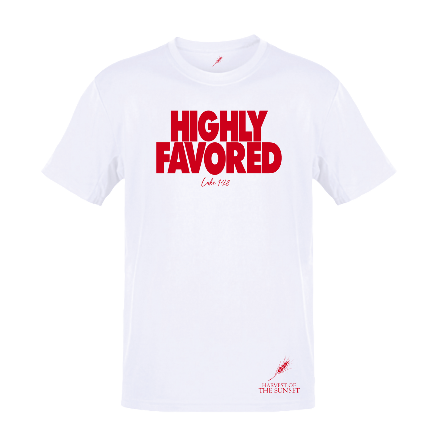 HIGHLY FAVORED UNISEX WHITE TEE