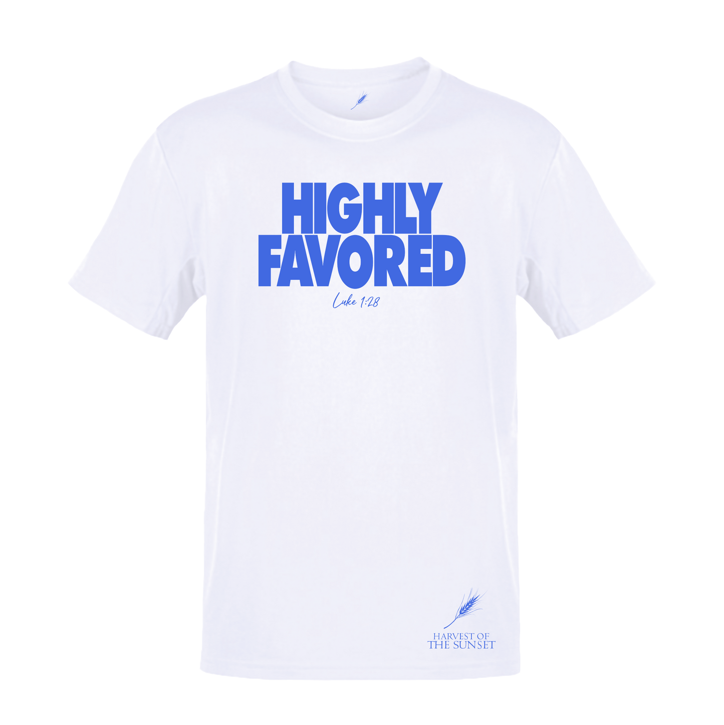 HIGHLY FAVORED UNISEX WHITE TEE