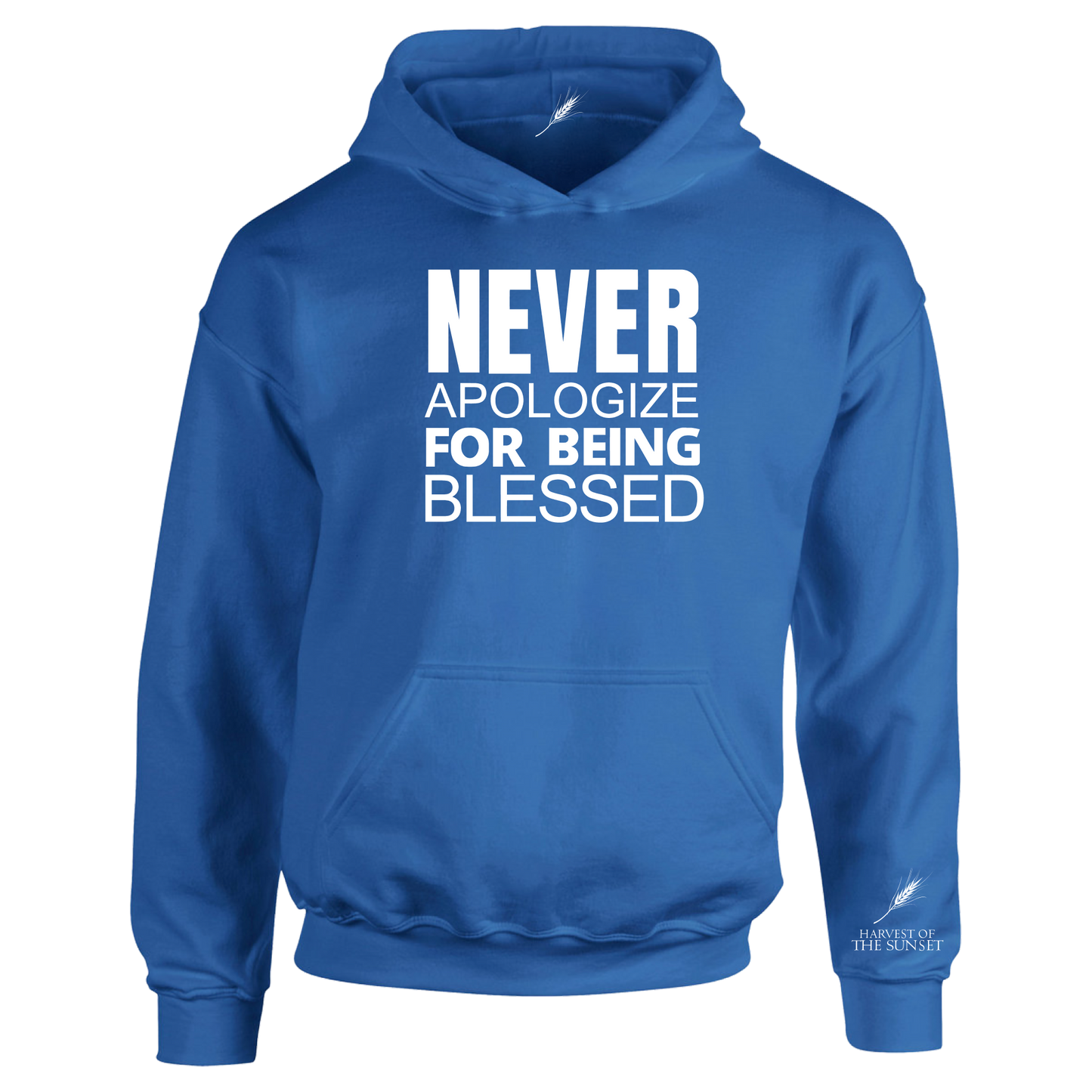 NEVER APOLOGIZE FOR BEING BLESSED UNISEX HOODIE