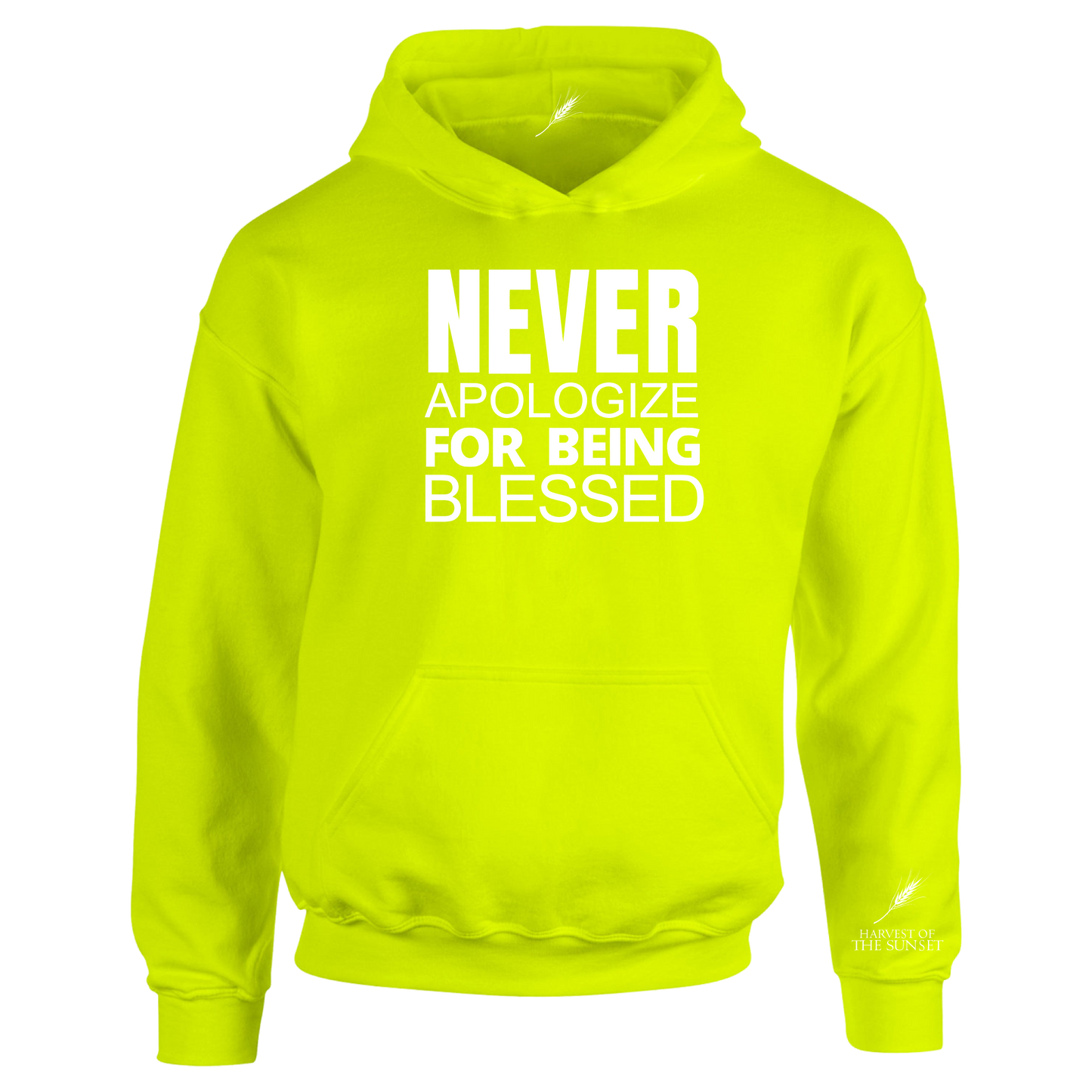 NEVER APOLOGIZE FOR BEING BLESSED UNISEX HOODIE