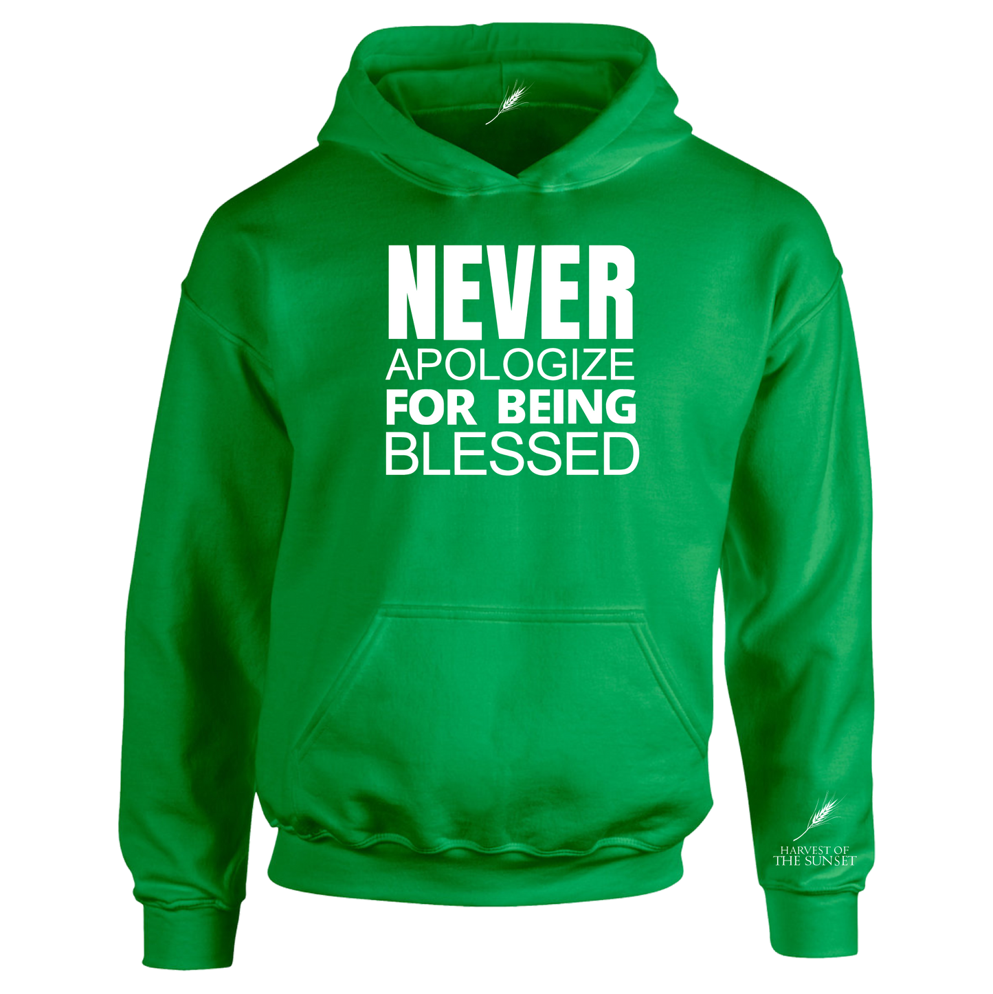 NEVER APOLOGIZE FOR BEING BLESSED UNISEX HOODIE