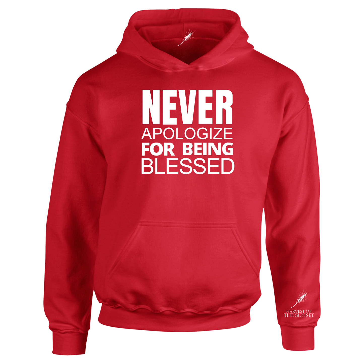 NEVER APOLOGIZE FOR BEING BLESSED UNISEX HOODIE