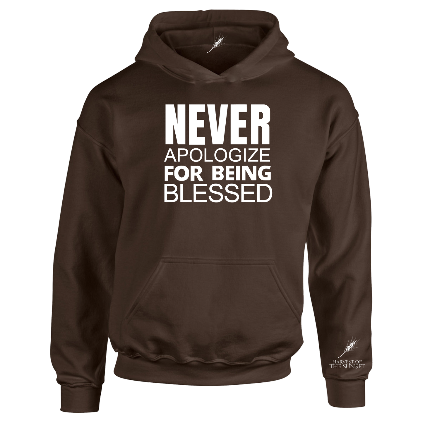 NEVER APOLOGIZE FOR BEING BLESSED UNISEX HOODIE