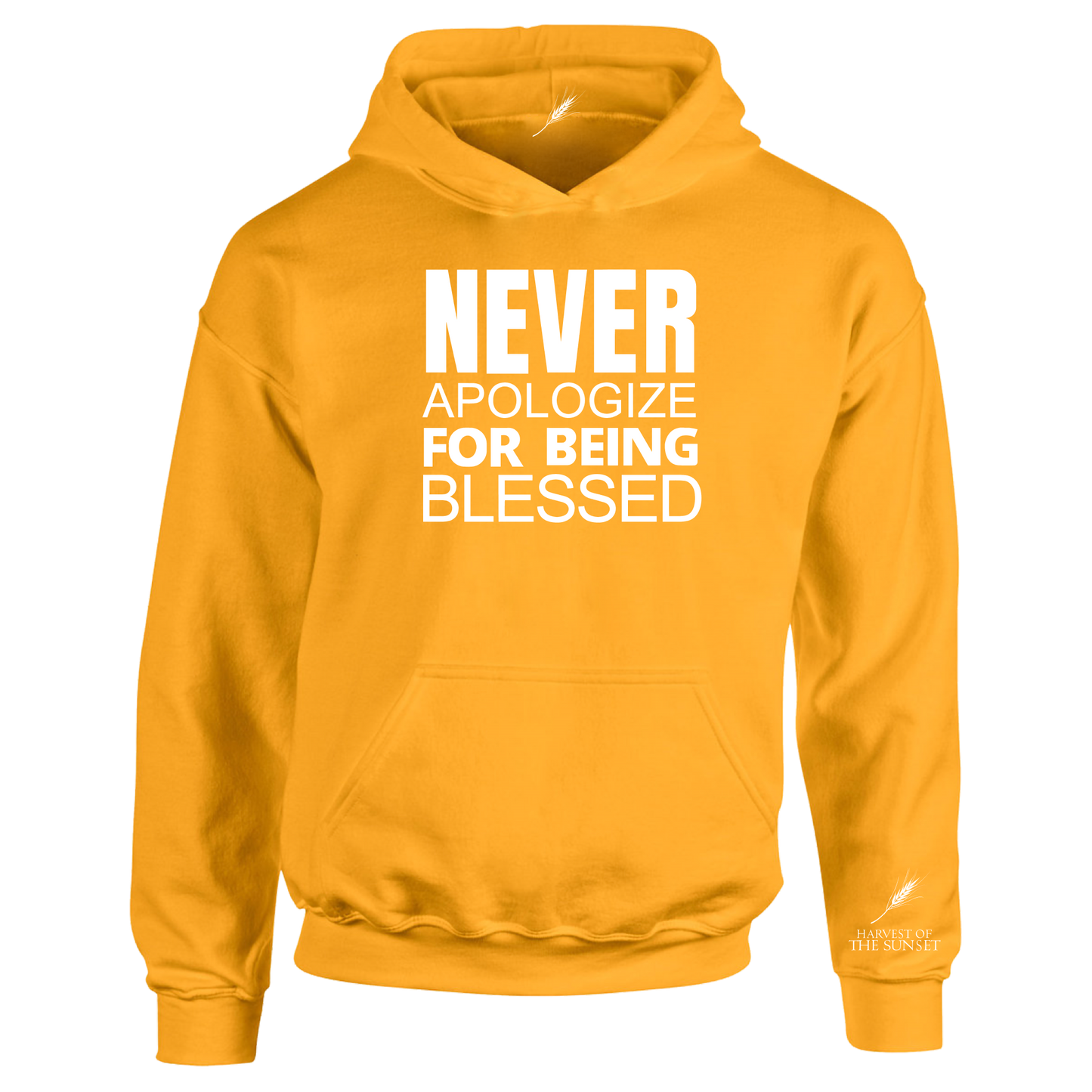 NEVER APOLOGIZE FOR BEING BLESSED UNISEX HOODIE