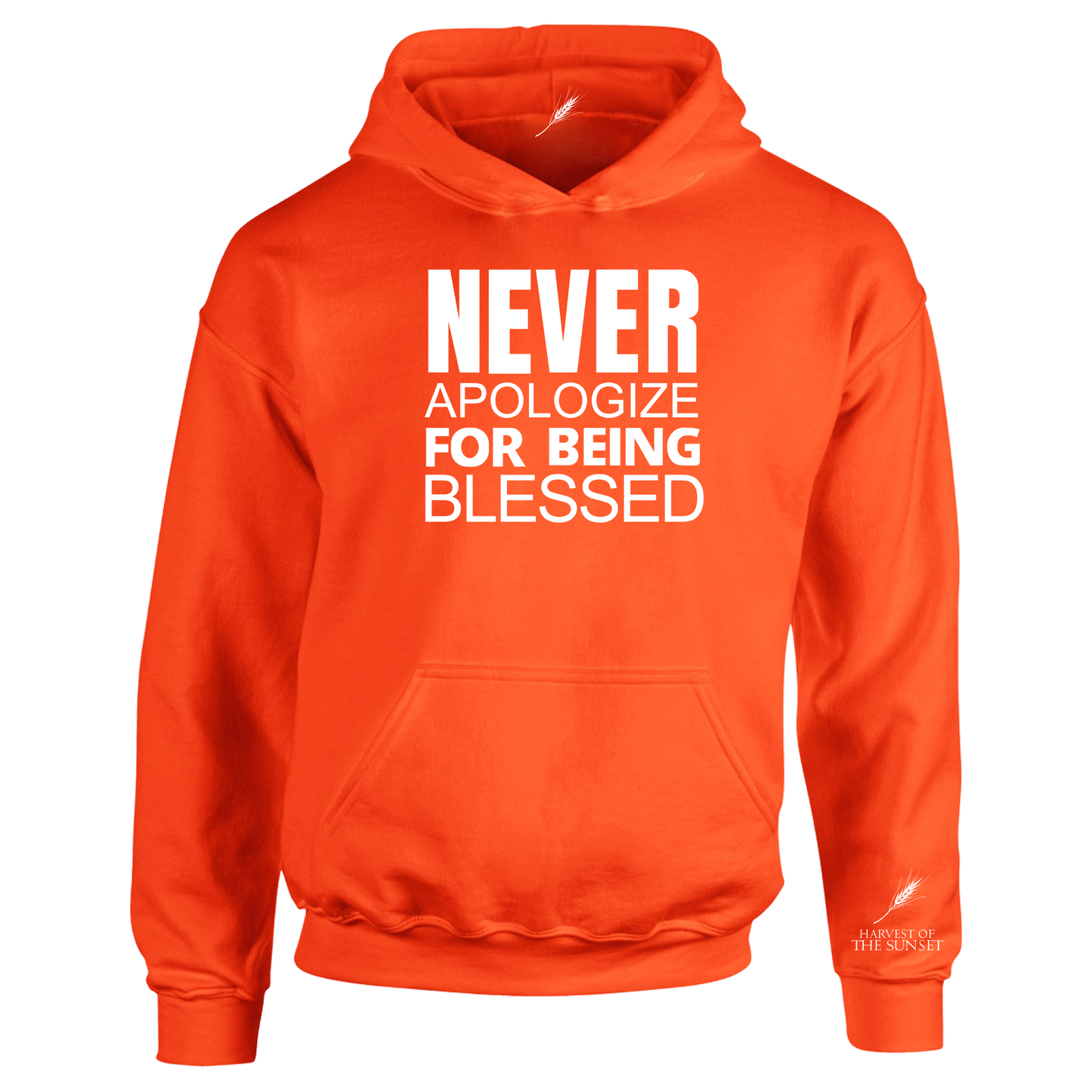NEVER APOLOGIZE FOR BEING BLESSED UNISEX HOODIE