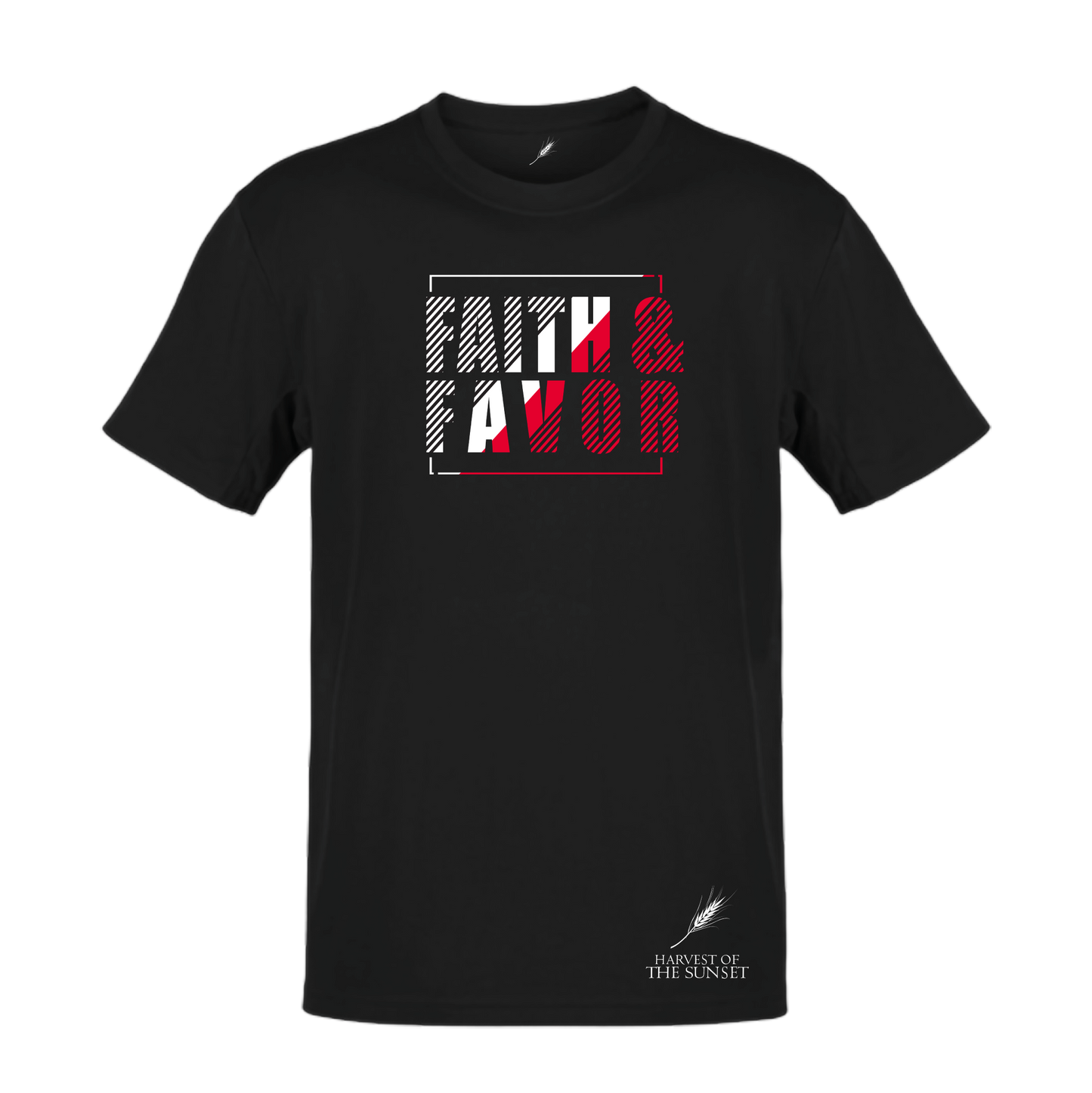 FAITH & FAVOR UNISEX TEE