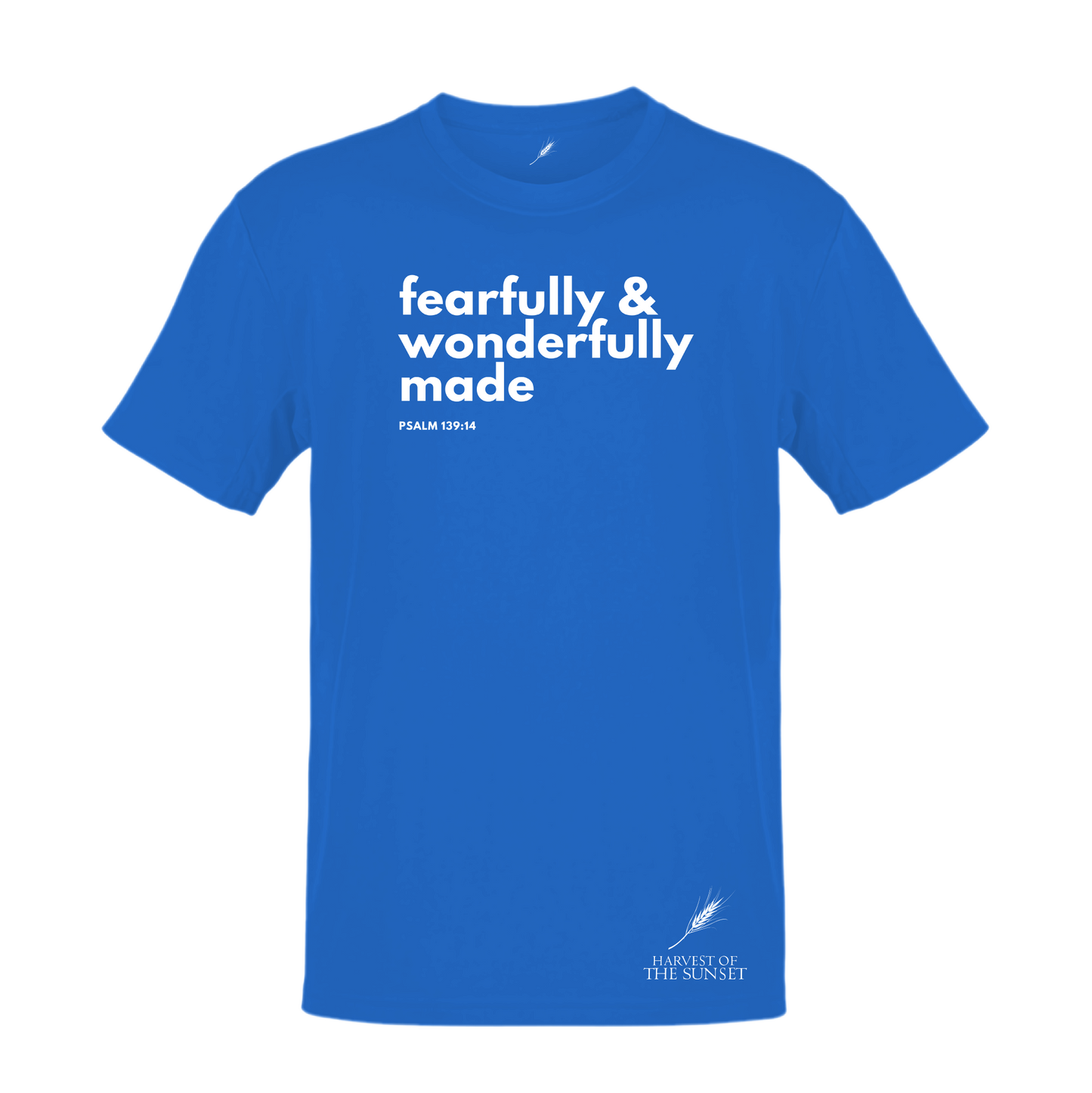 FEARFULLY & WONDERFULLY MADE UNISEX TEE