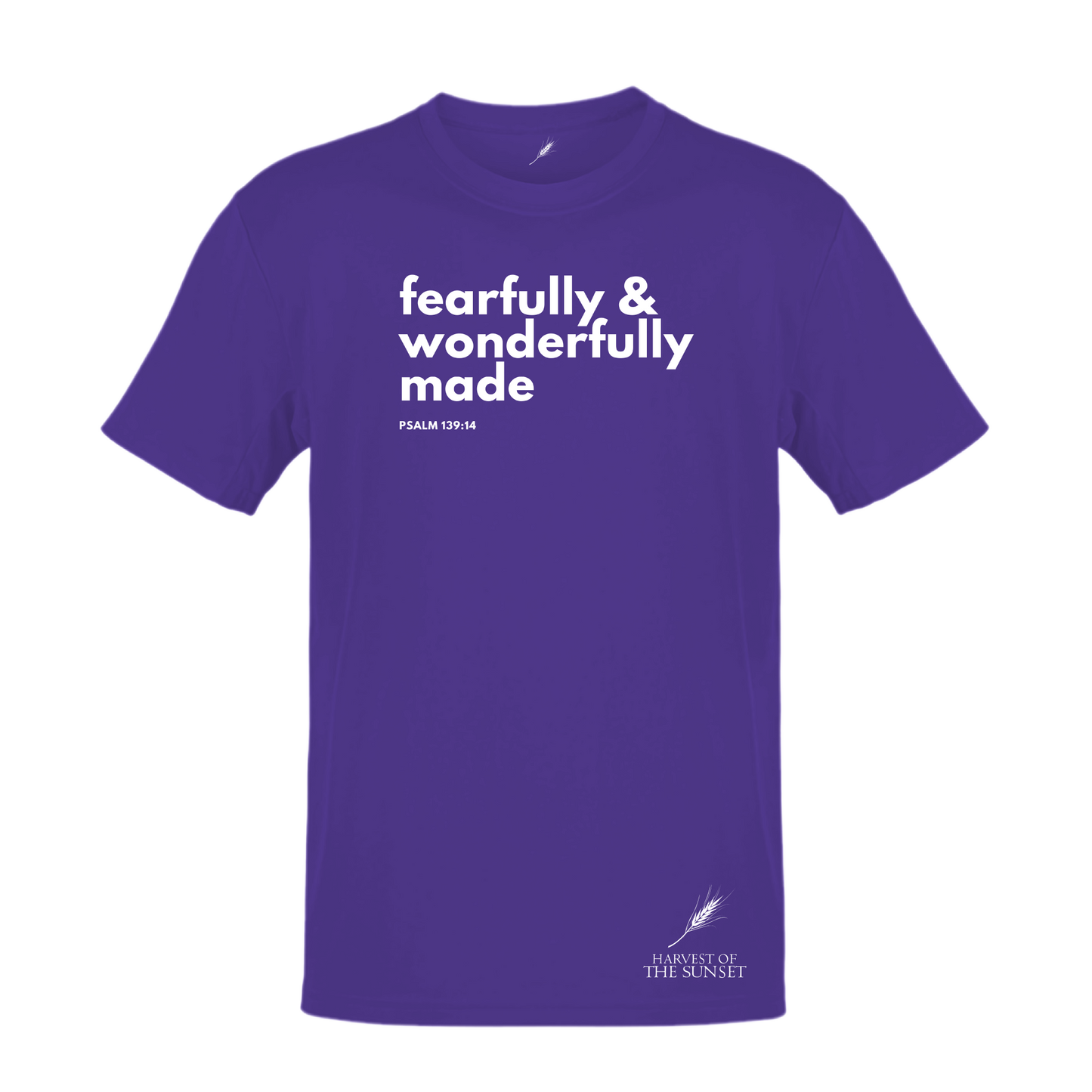 FEARFULLY & WONDERFULLY MADE UNISEX TEE