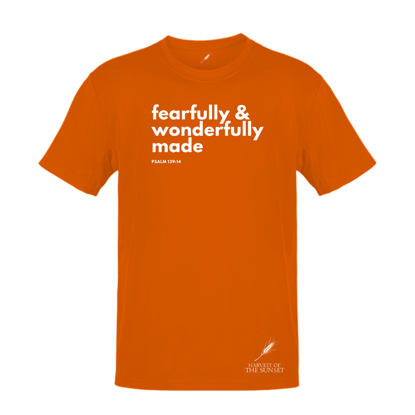 FEARFULLY & WONDERFULLY MADE UNISEX TEE