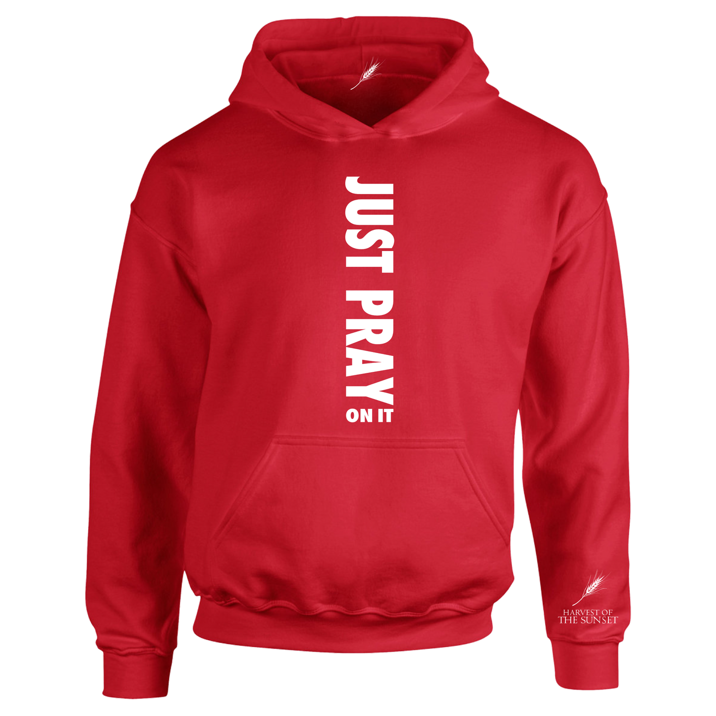JUST PRAY ON IT UNISEX HOODIE