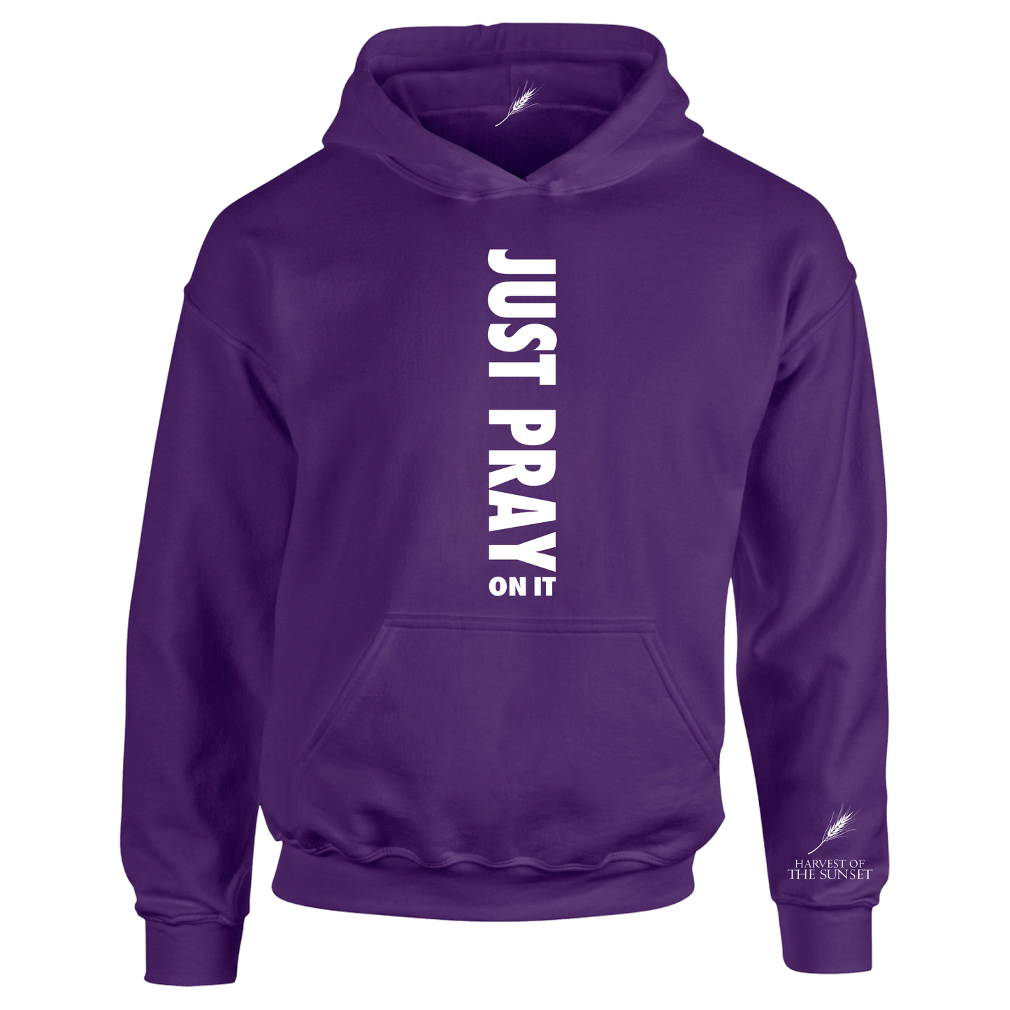 JUST PRAY ON IT UNISEX HOODIE