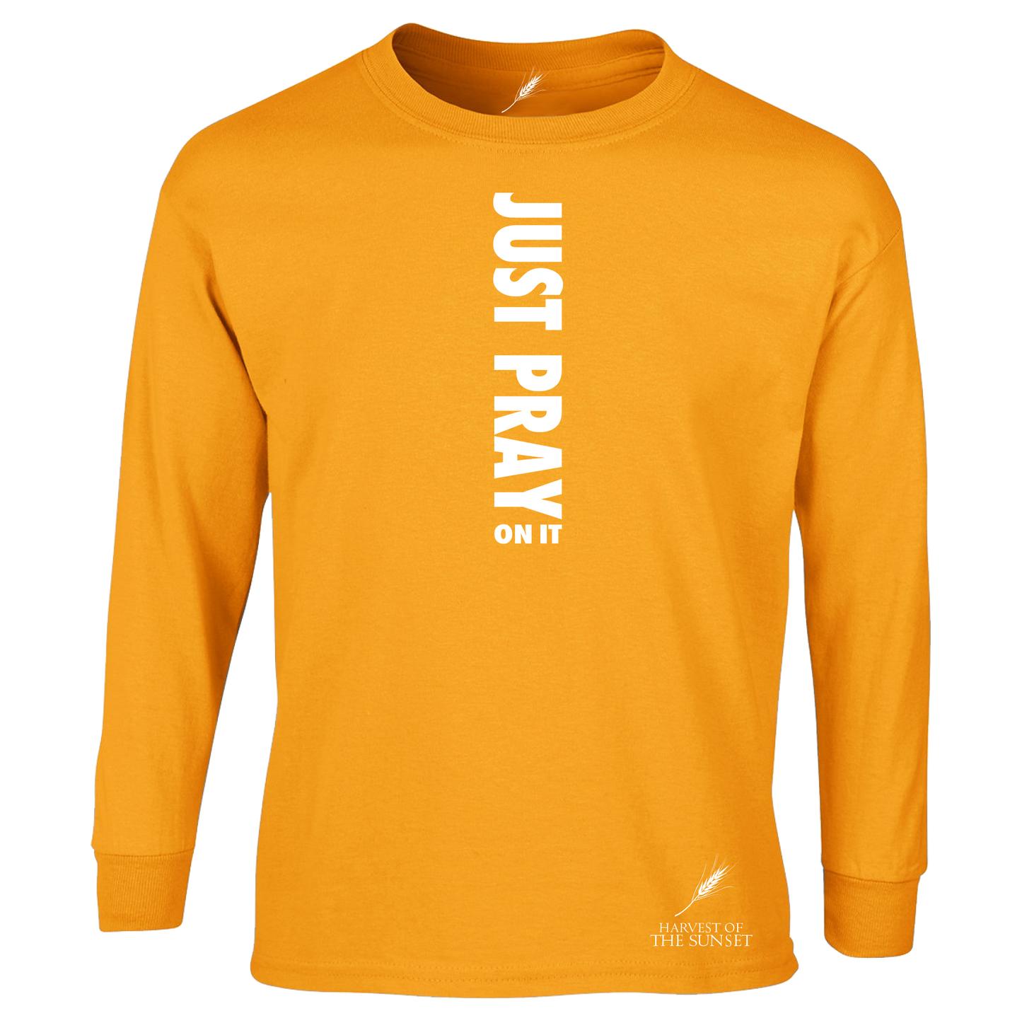 JUST PRAY ON IT UNISEX LONG SLEEVE TEE