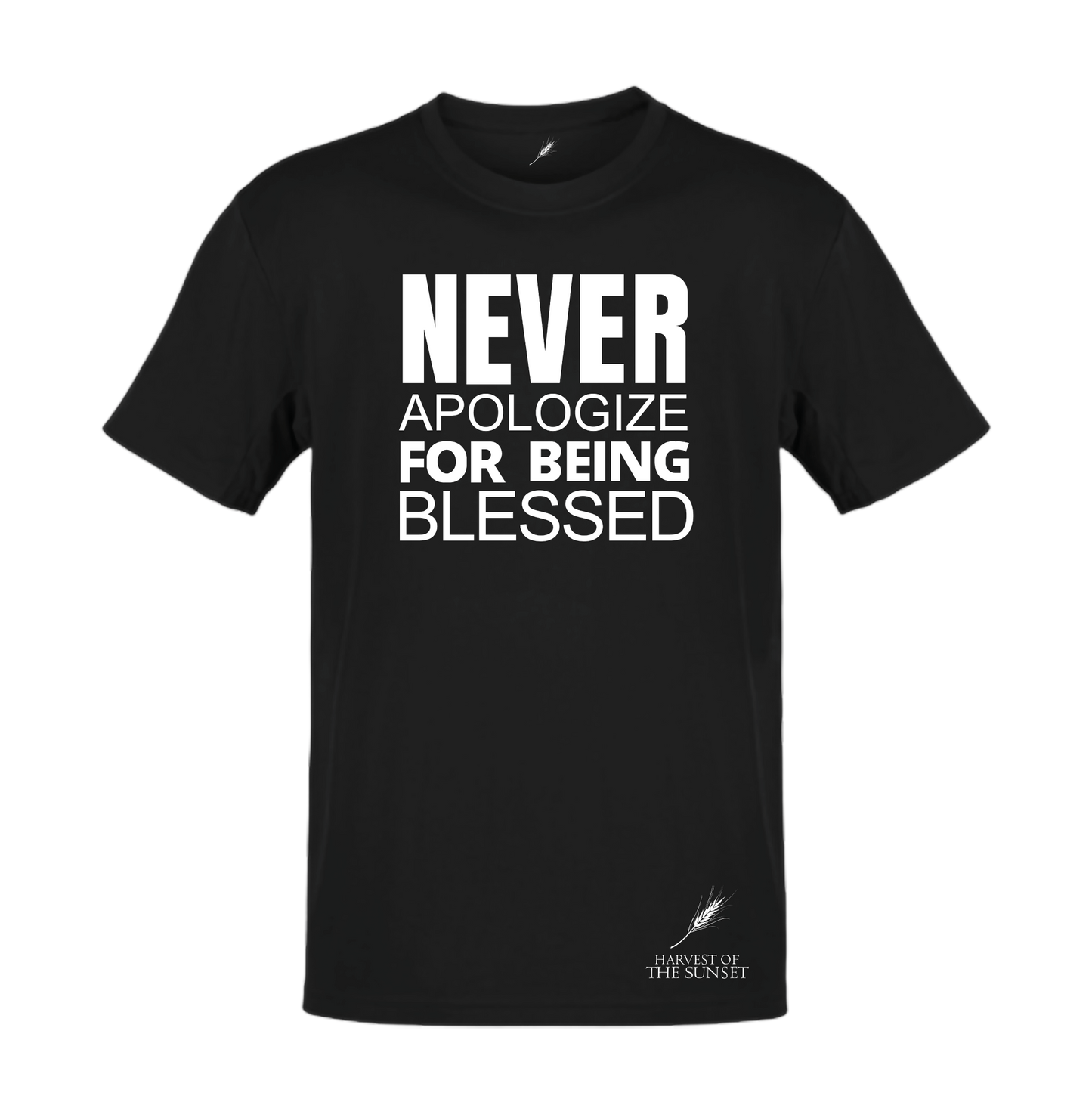 NEVER APOLOGIZE FOR BEING BLESSED