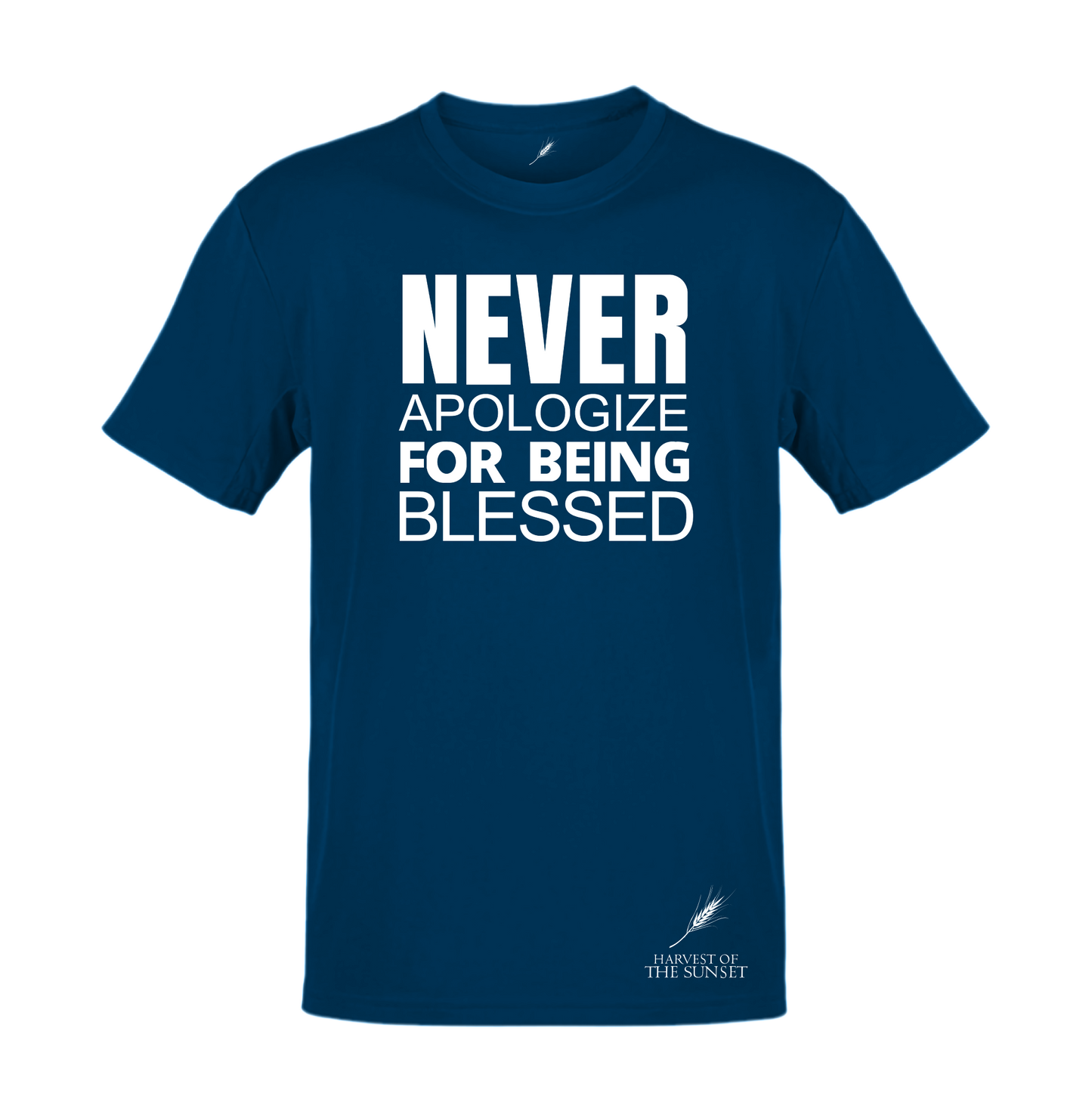 NEVER APOLOGIZE FOR BEING BLESSED