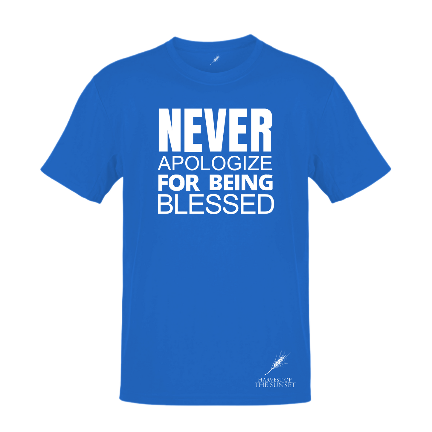 NEVER APOLOGIZE FOR BEING BLESSED
