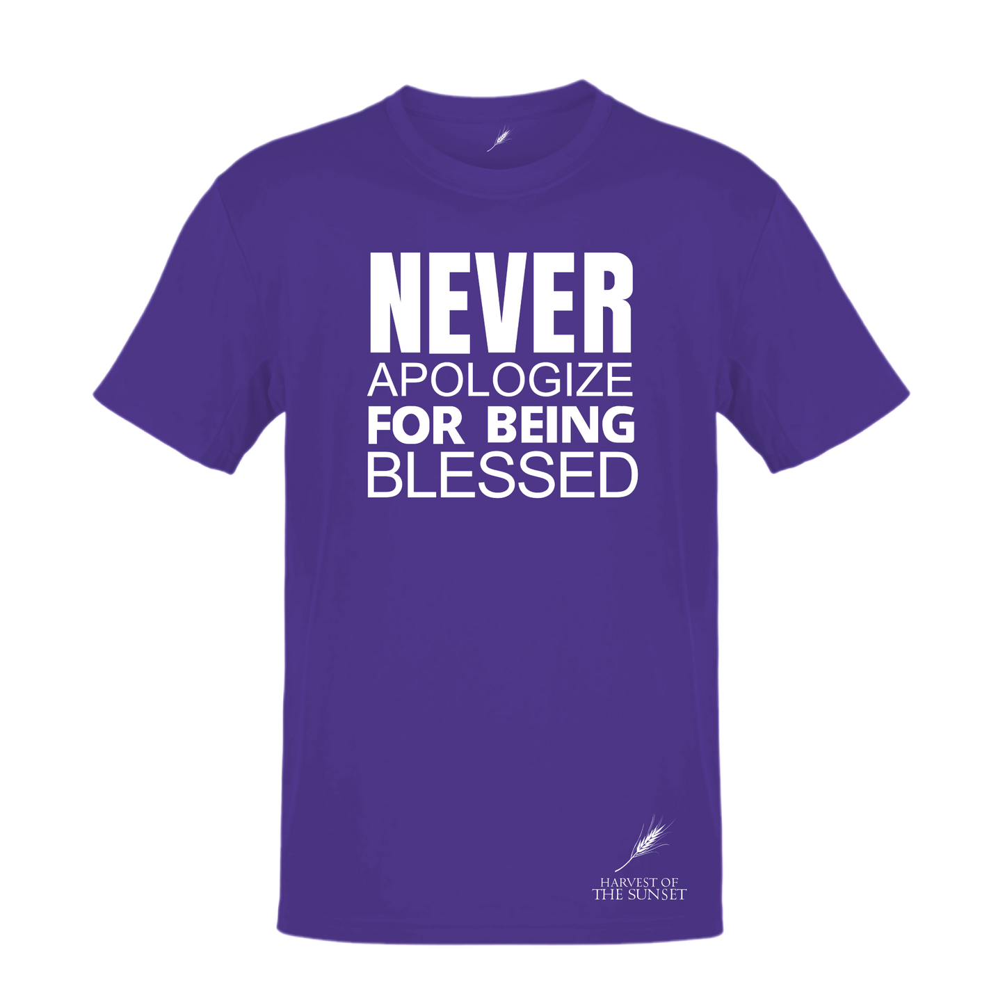NEVER APOLOGIZE FOR BEING BLESSED