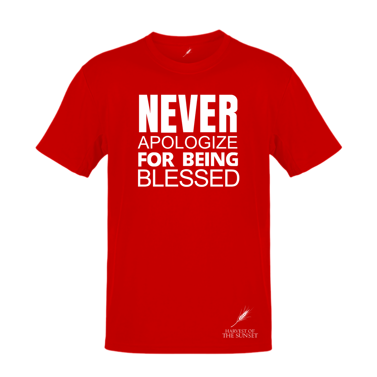 NEVER APOLOGIZE FOR BEING BLESSED