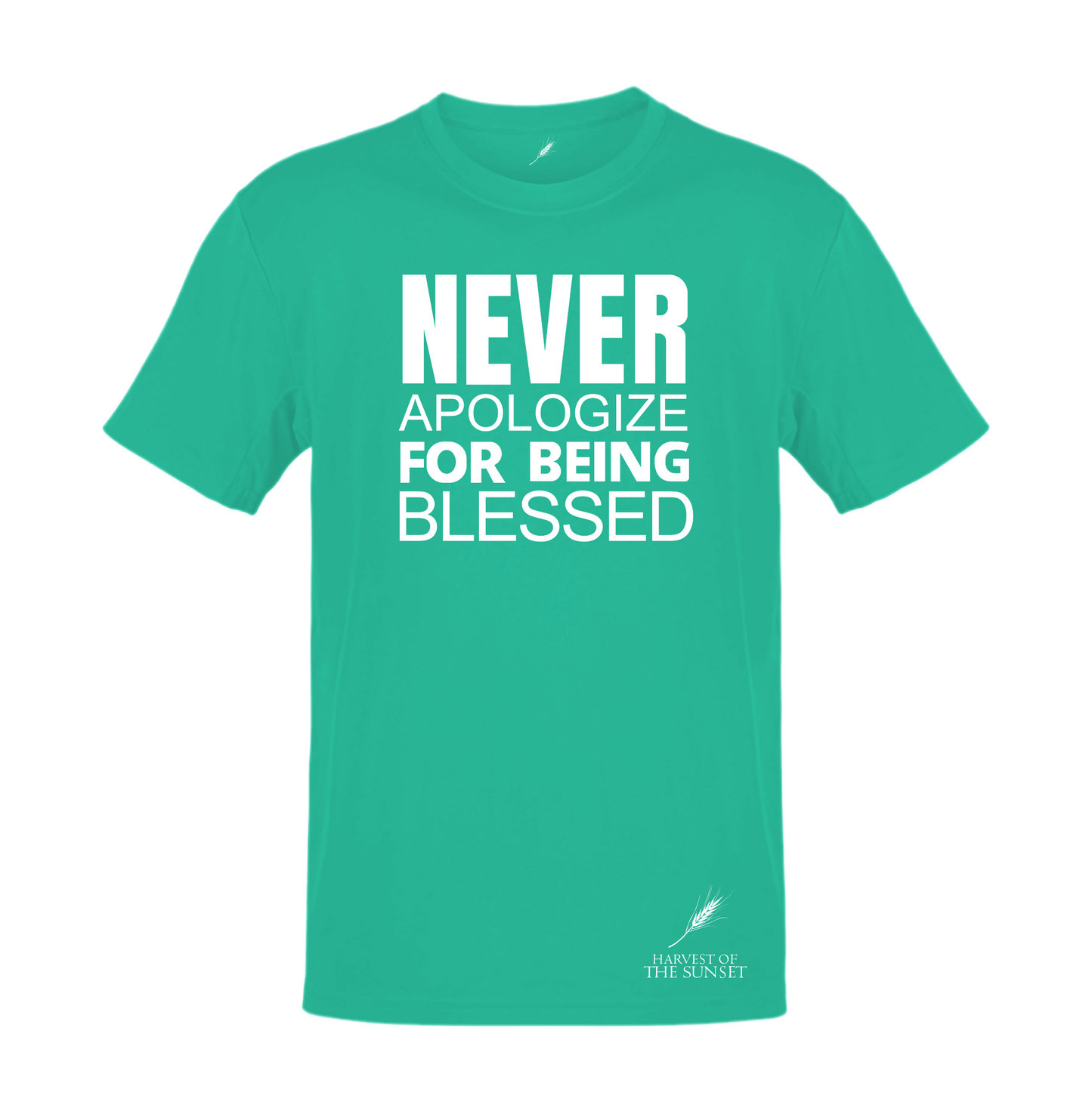 NEVER APOLOGIZE FOR BEING BLESSED