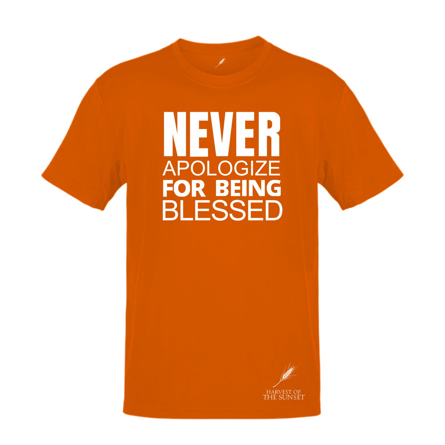 NEVER APOLOGIZE FOR BEING BLESSED