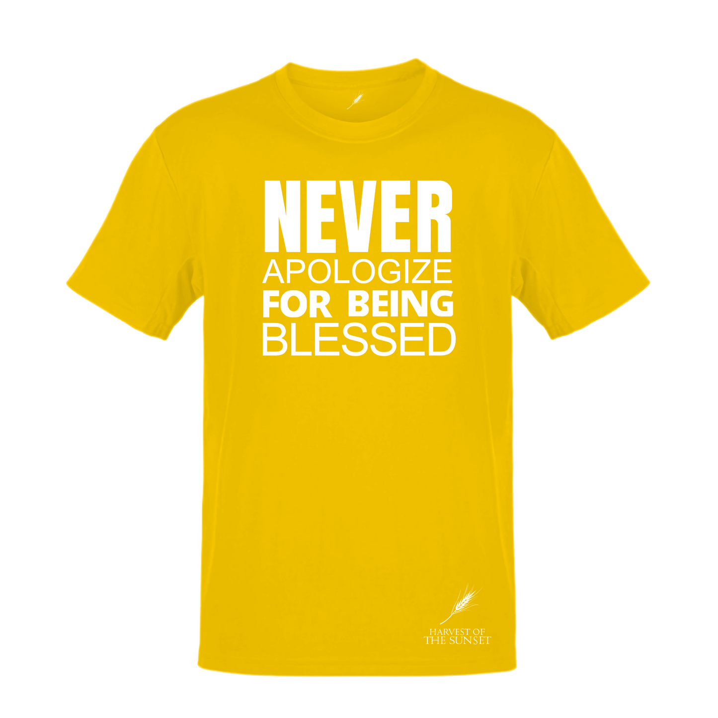 NEVER APOLOGIZE FOR BEING BLESSED