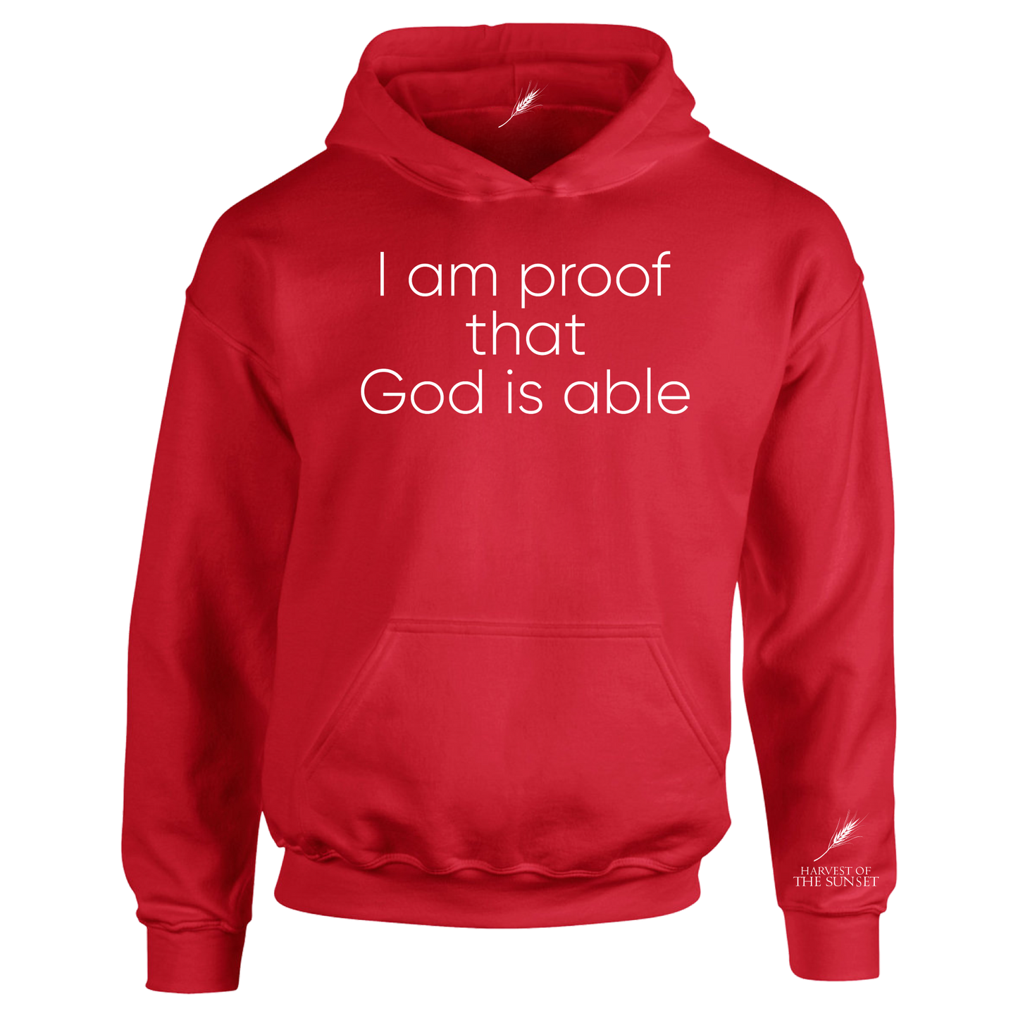 GOD IS ABLE UNISEX HOODIE