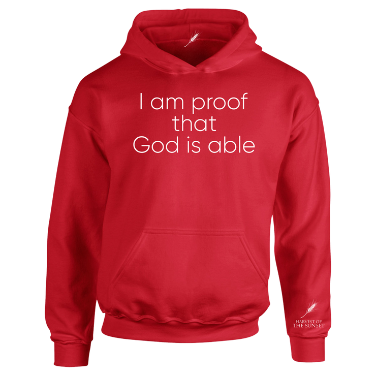 GOD IS ABLE UNISEX HOODIE