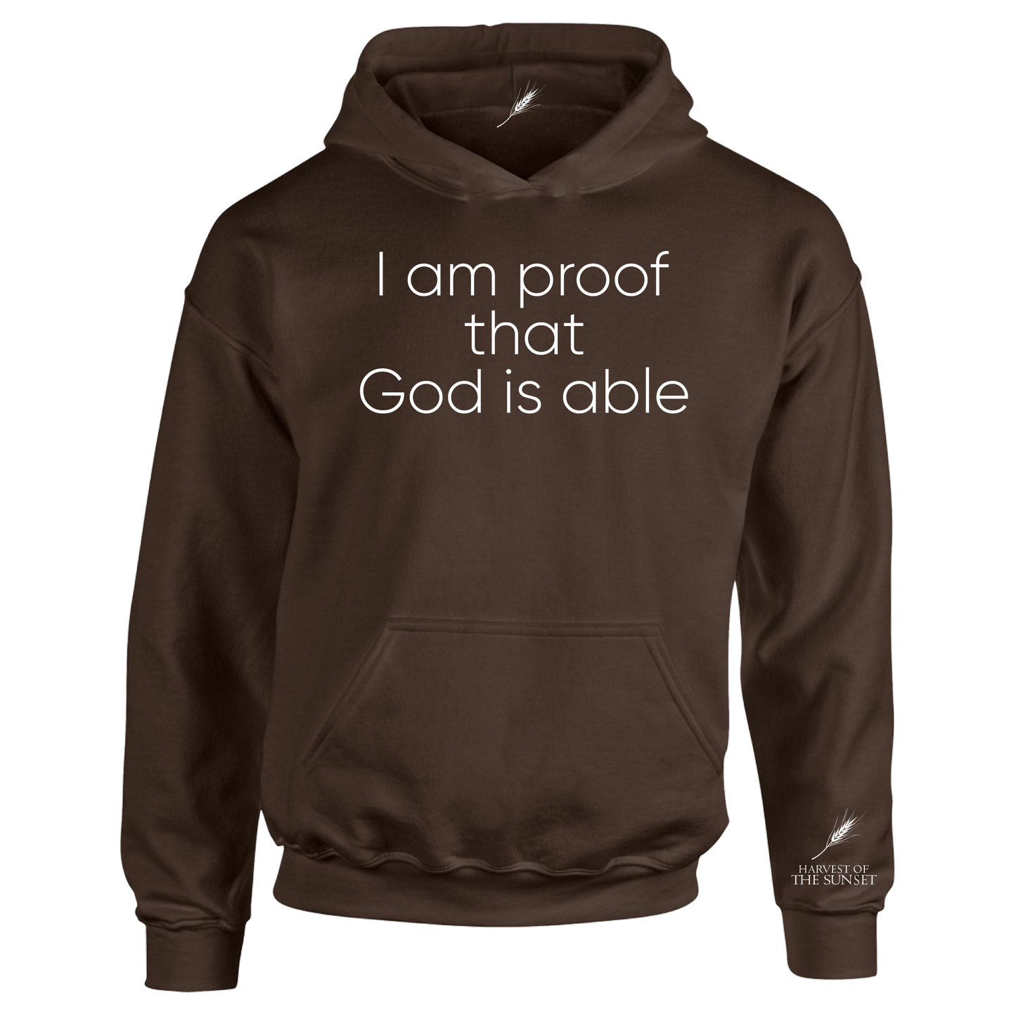 GOD IS ABLE UNISEX HOODIE