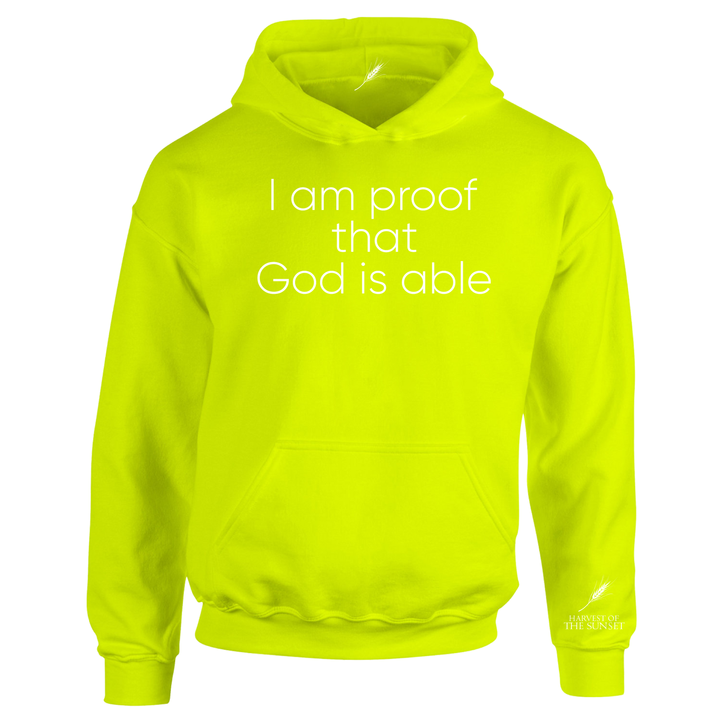 GOD IS ABLE UNISEX HOODIE