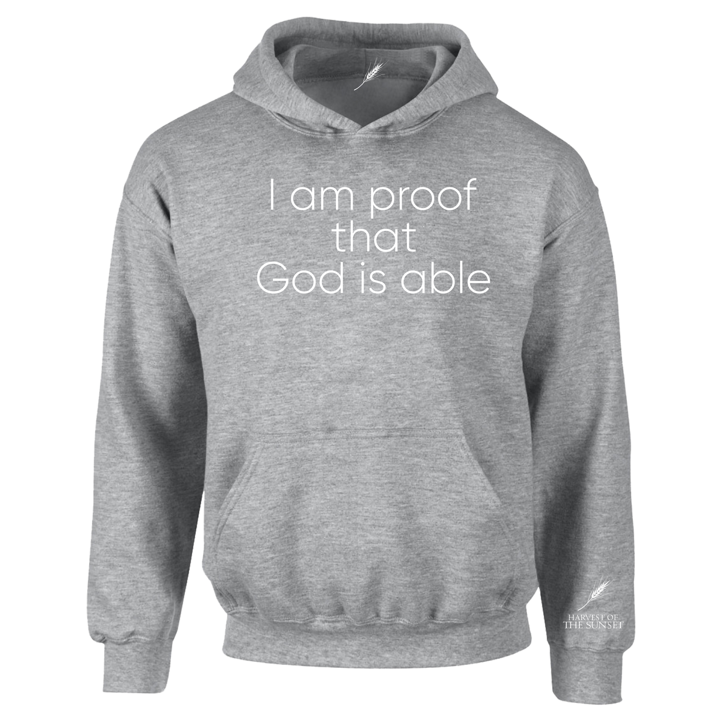 GOD IS ABLE UNISEX HOODIE