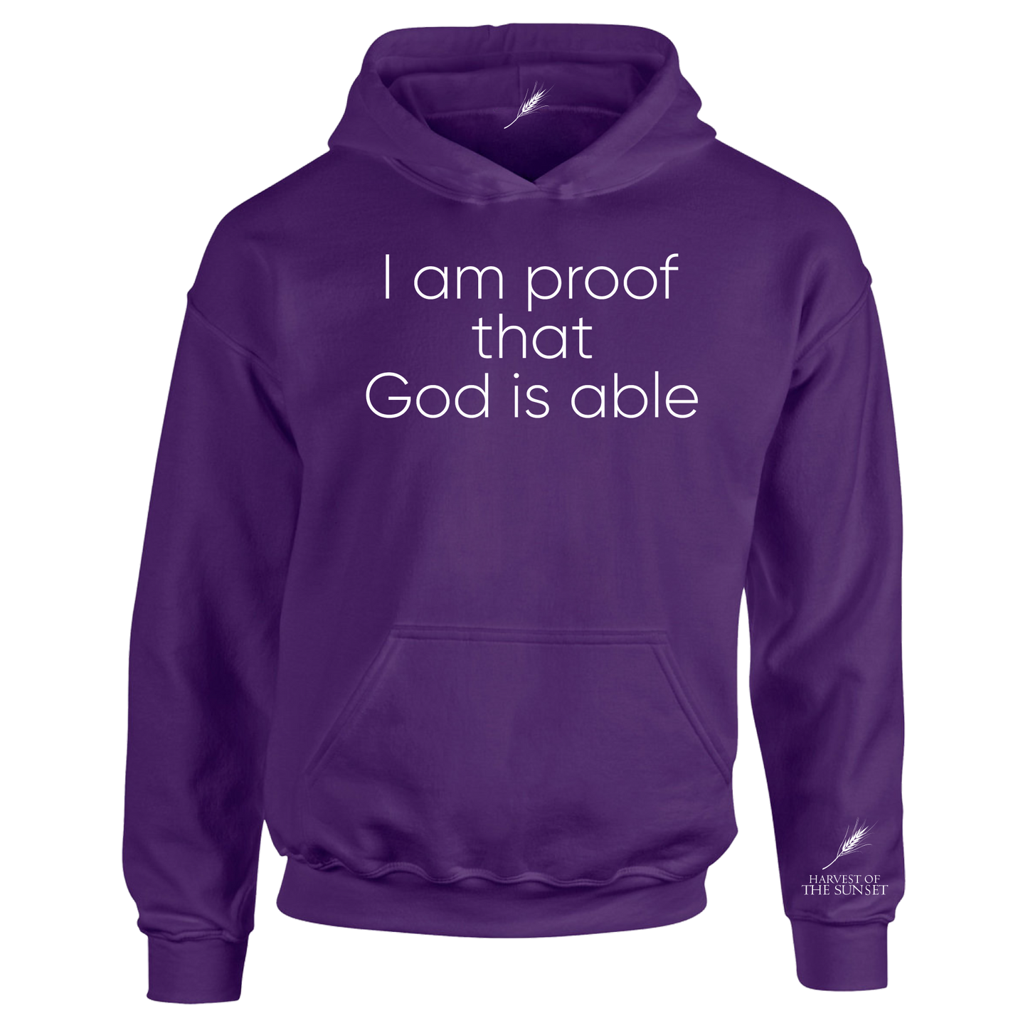 GOD IS ABLE UNISEX HOODIE