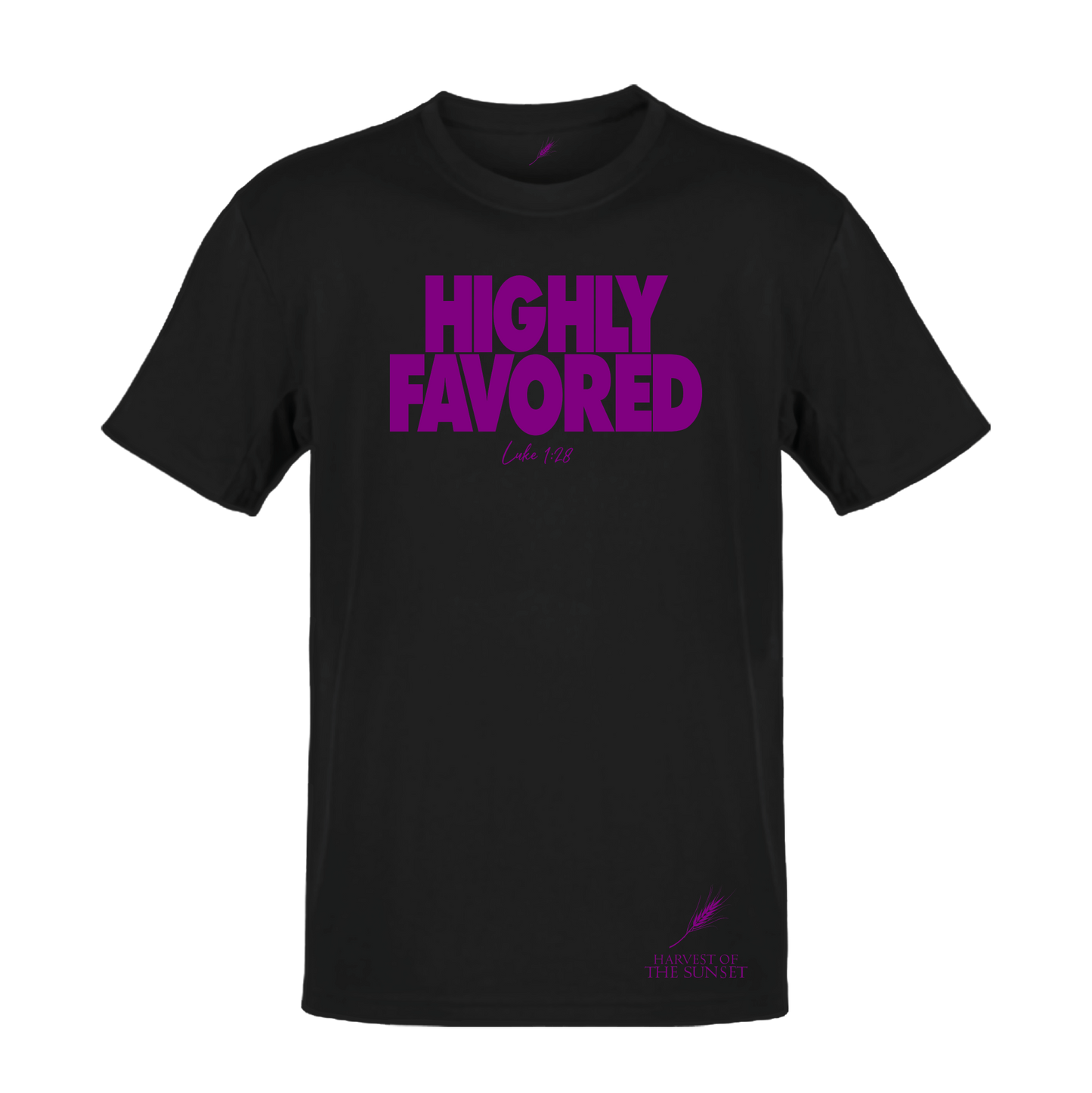 HIGHLY FAVORED LUKE 1:28 UNISEX TEE