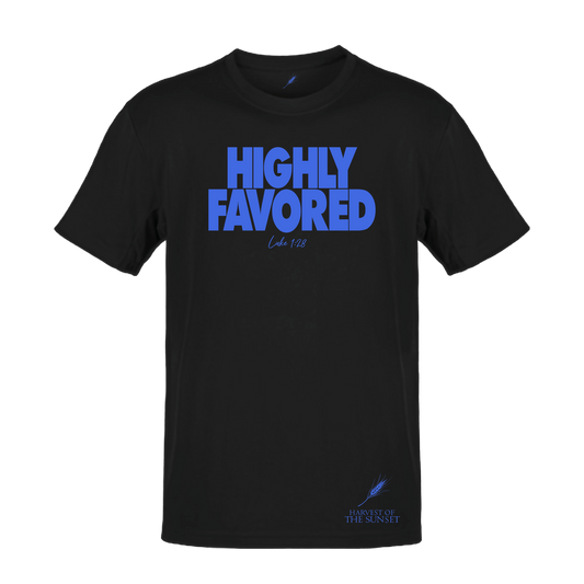 HIGHLY FAVORED LUKE 1:28 UNISEX TEE