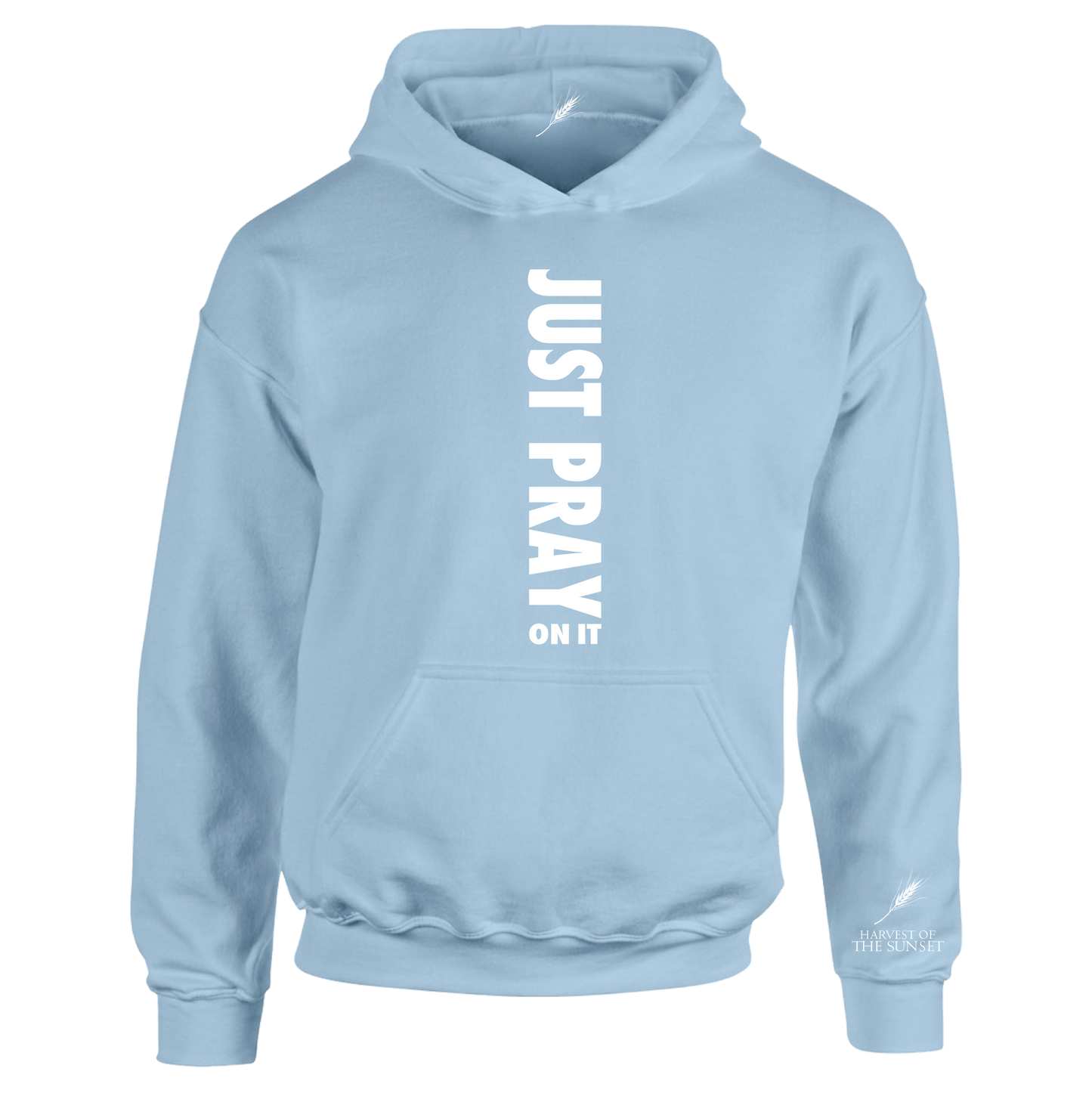 JUST PRAY ON IT UNISEX HOODIE