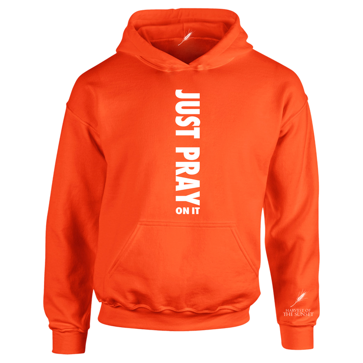 JUST PRAY ON IT UNISEX HOODIE
